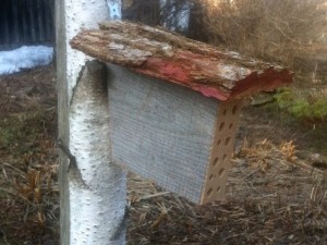 Native Bee Nest Block